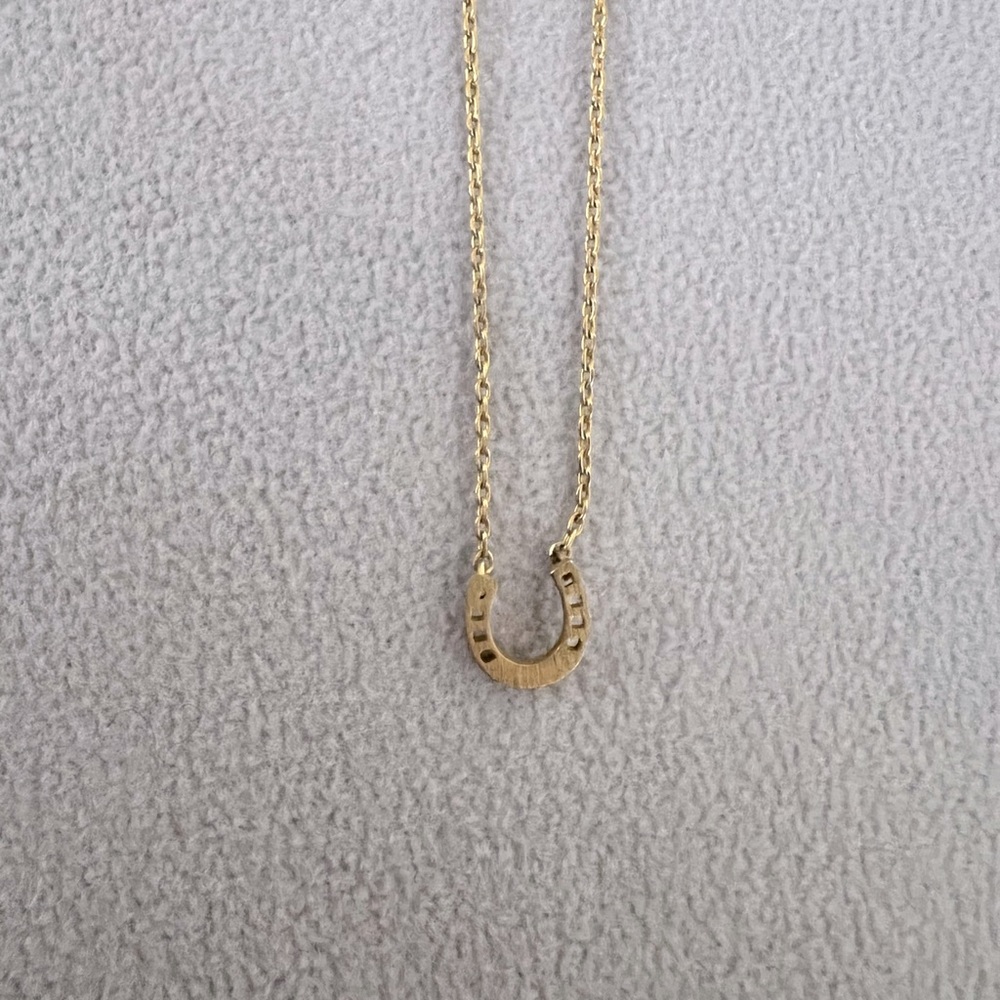Gold Horseshoe Necklace